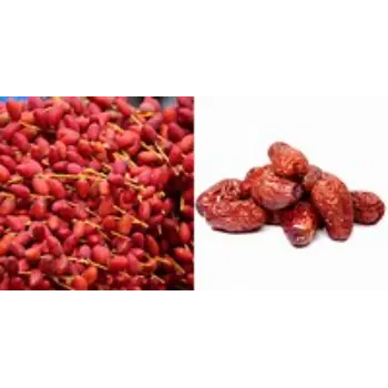 Natural Fresh Dates
